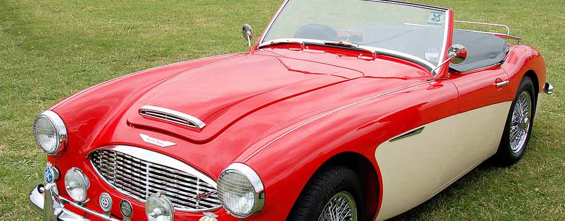 Austin Healey Infos Preise Alternativen Autoscout24