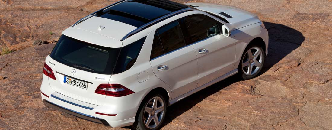 Mercedes Benz Ml 250 Infos Preise Alternativen Autoscout24