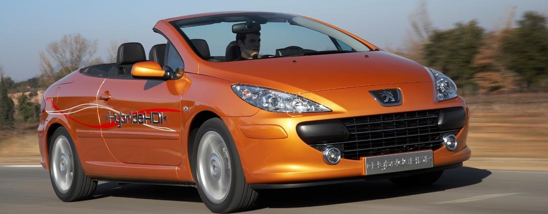 Peugeot 307 Infos Preise Alternativen Autoscout24
