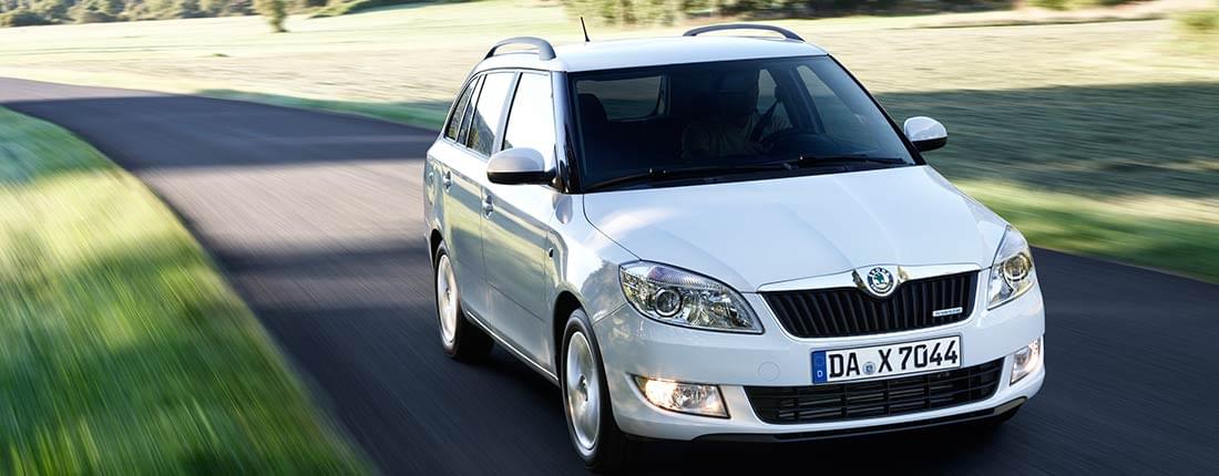 Skoda Fabia Greenline Infos Preise Alternativen Autoscout24