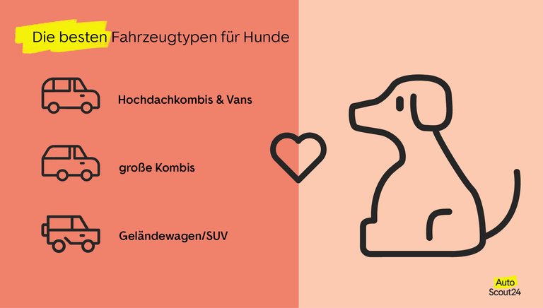 Die besten Fahrzeugtypen für Hunde