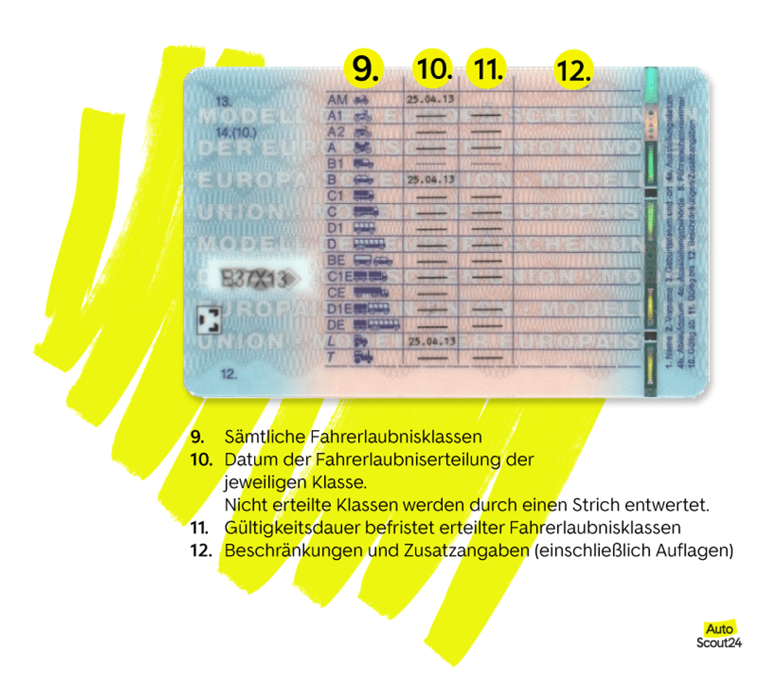 Hier stehen die Führerscheinklassen auf dem Führerschein