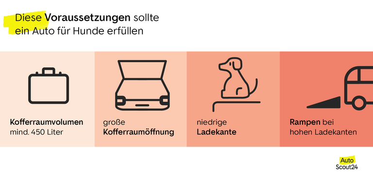 Voraussetzungen für Hundeautos