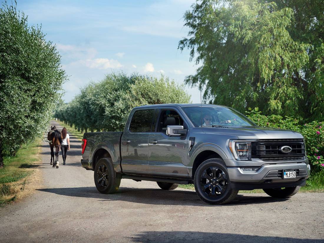 Ford F 150