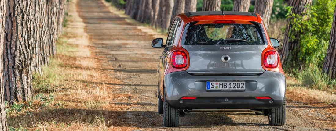 smart-forfour-back