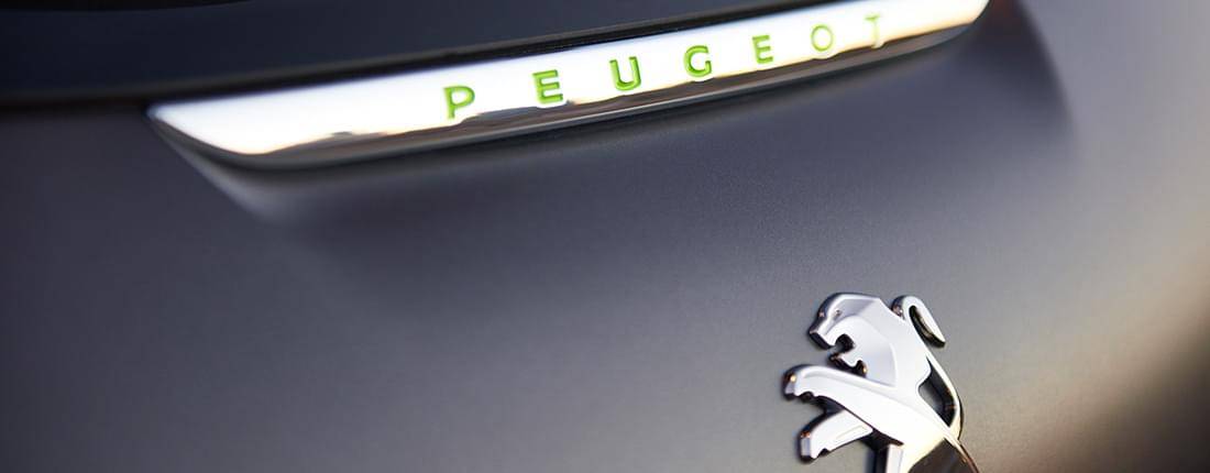 Peugeot J5