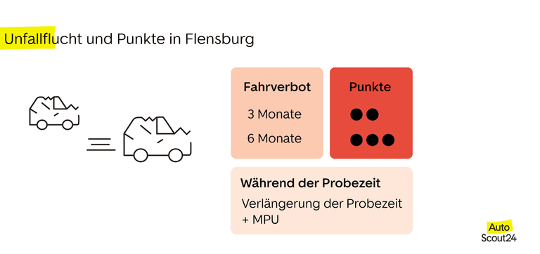 Punkte bei Fahrerflucht