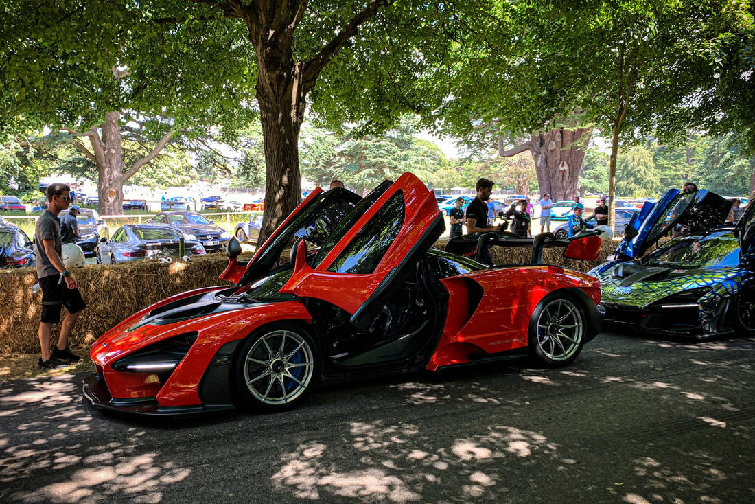 PICTURE: McLaren Senna