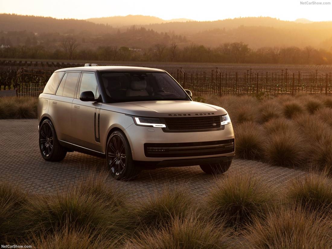 2 Stück Autodachträger Längsstange für Land Rover Discovery Sport