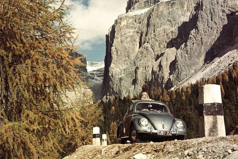 VW-Kaefer-1-alps