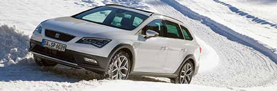 Vergleichstest: VW Caddy Alltrack und Seat Leon X-Perience – Hohe Normalos